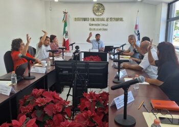 Se registran 43 aspirantes para Consejero Electoral del INE en Quintana Roo
