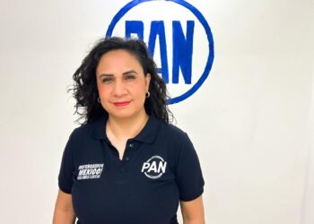 Regidores del PAN Playa del Carmen exigen renuncia de titular de la CFE