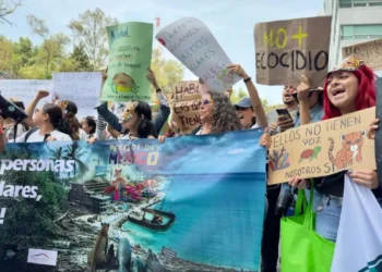 Ambientalistas exigen a Semarnat la cancelación firmada contra Perfect Day en Mahahual