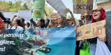Ambientalistas exigen a Semarnat la cancelación firmada contra Perfect Day en Mahahual