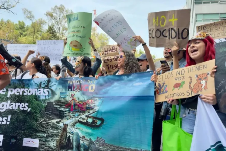 Ambientalistas exigen a Semarnat la cancelación firmada contra Perfect Day en Mahahual