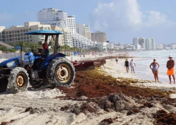 Futuro de Mahahual, en manos de Semarnat tras amparos a favor del parque acuático Perfect Day