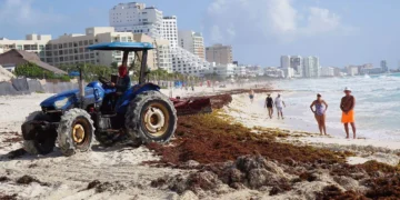 Futuro de Mahahual, en manos de Semarnat tras amparos a favor del parque acuático Perfect Day