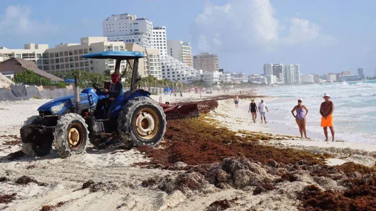Futuro de Mahahual, en manos de Semarnat tras amparos a favor del parque acuático Perfect Day