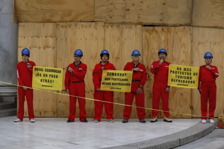 Proyecto “Perfect Day” aún no tiene autorización, Semarnat responde a Greenpeace