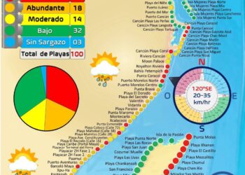 Isla Mujeres, Cozumel, Puerto Morelos y Cancún, únicos puntos de Quintana Roo con bajos niveles de sargazo