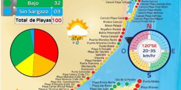 Isla Mujeres, Cozumel, Puerto Morelos y Cancún, únicos puntos de Quintana Roo con bajos niveles de sargazo