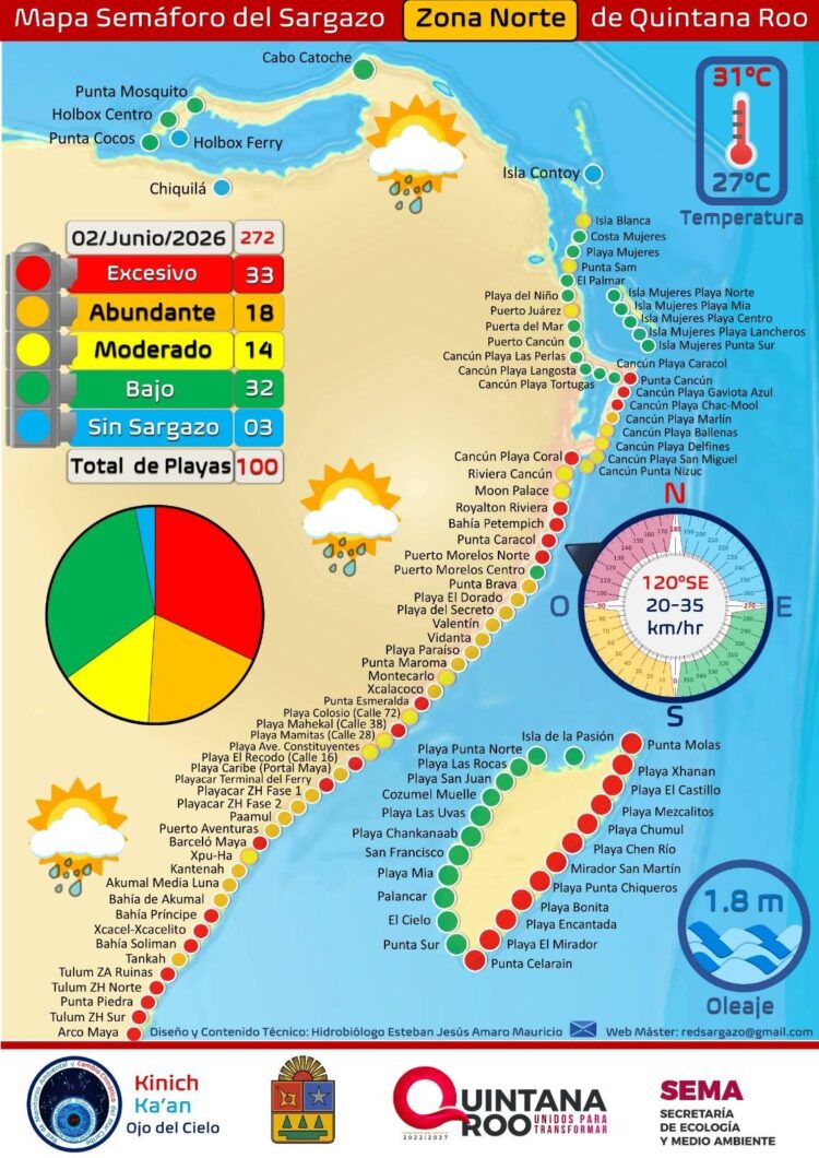 Isla Mujeres, Cozumel, Puerto Morelos y Cancún, únicos puntos de Quintana Roo con bajos niveles de sargazo