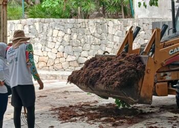Con 10 unidades de maquinaria pesada reforzarán recolección de sargazo en Playa del Carmen