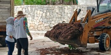 Con 10 unidades de maquinaria pesada reforzarán recolección de sargazo en Playa del Carmen