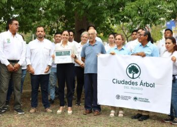 Bajo el liderazgo de Ana Paty Peralta, Cancún recibe distintivo internacional por su arbolado urbano