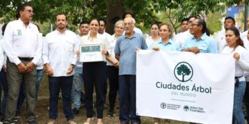 Bajo el liderazgo de Ana Paty Peralta, Cancún recibe distintivo internacional por su arbolado urbano