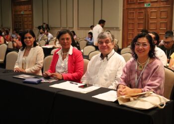 La protección de los derechos político-electorales desde el ámbito penal