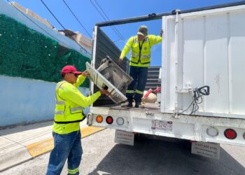 Gobierno Municipal continúa transformando Isla Mujeres con acciones permanentes de descacharrización