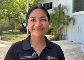 Alistan nuevas estrategias contra el sargazo en Playa del Carmen