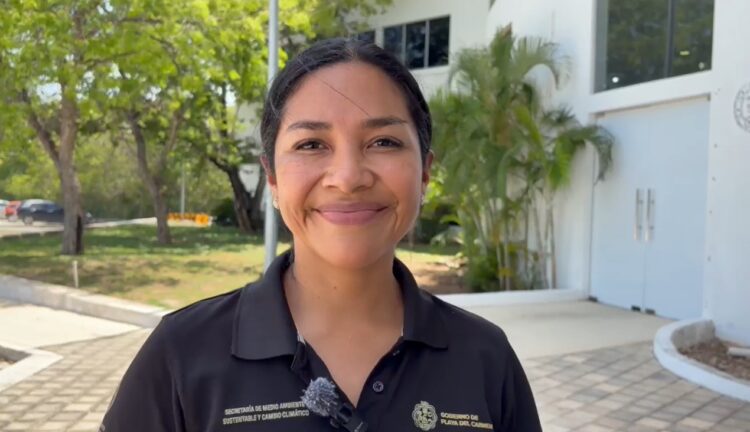 Alistan nuevas estrategias contra el sargazo en Playa del Carmen