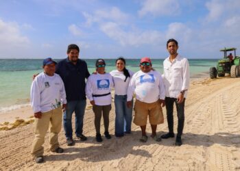 Mantiene Blanca Merari acciones permanentes para el combate al sargazo en playas de Puerto Morelos