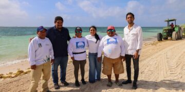 Mantiene Blanca Merari acciones permanentes para el combate al sargazo en playas de Puerto Morelos