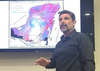 Denuncian ambientalistas ilegal camino del Ejército en Tulum
