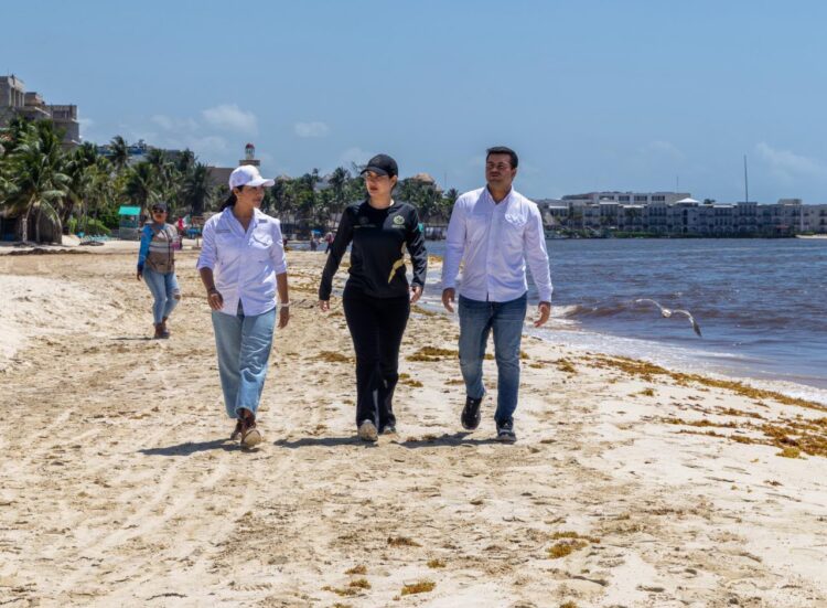 Estefanía Mercado supervisa trabajos en playas afectadas por el arribo de sargazo