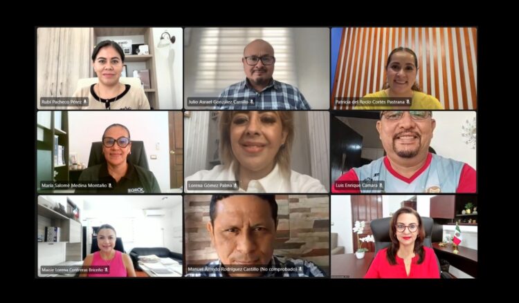 Emite IEQROO opinión técnica sobre iniciativa que vincula reciclaje de propaganda electoral con protección de la fauna