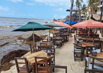 Aparece ojo de agua en costas de Playa del Carmen, pero lo tapa el sargazo