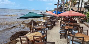 Aparece ojo de agua en costas de Playa del Carmen, pero lo tapa el sargazo