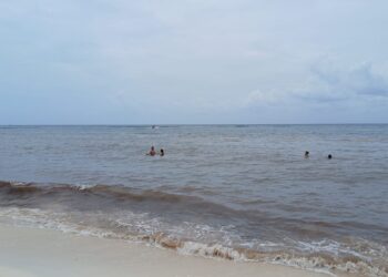 Ven hoteleros mejoría en arribo de sargazo en Playa del Carmen; piden no bajar guardia