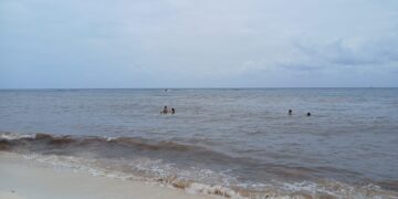 Ven hoteleros mejoría en arribo de sargazo en Playa del Carmen; piden no bajar guardia