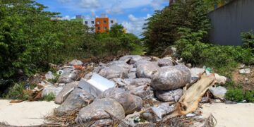 En proceso de ser multados, dueños de 10 predios baldíos en Playa del Carmen