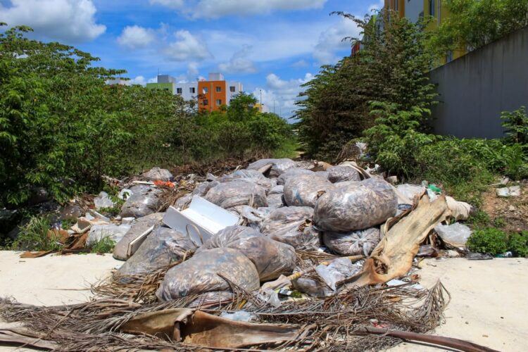 En proceso de ser multados, dueños de 10 predios baldíos en Playa del Carmen