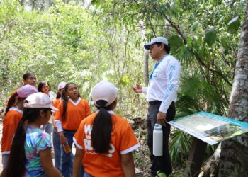 Imparten taller de educación ambiental para fortalecer la conservación de los manglares en Puerto Morelos