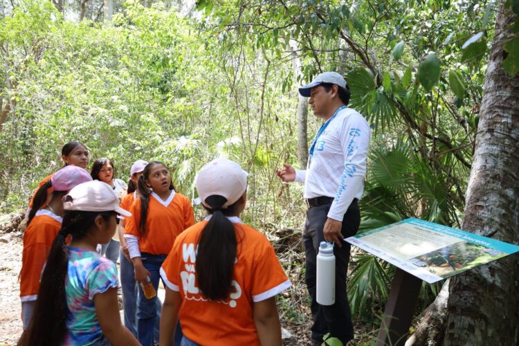 Imparten taller de educación ambiental para fortalecer la conservación de los manglares en Puerto Morelos