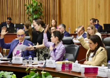 Abre el Instituto Nacional Electoral plazo para impugnar sobre nuevos partidos