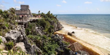 Declaran Polo de Economía Circular en Puerto Morelos para reciclar sargazo, plásticos y residuos