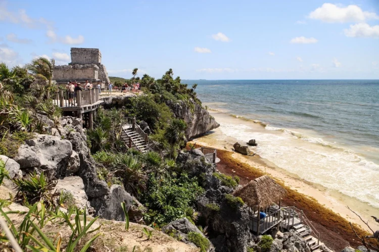 Declaran Polo de Economía Circular en Puerto Morelos para reciclar sargazo, plásticos y residuos