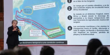 Gobierno invierte 2 mil mdp y refuerza estrategia para contener el sargazo en Quintana Roo: Sheinbaum