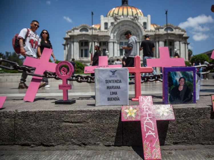 ¿Qué propone la iniciativa presidencial de ley contra el feminicidio?