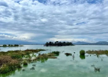 Retorno de 500 especies de fauna y flora al Lago de Texcoco, muestra importancia de no haber construido NAICM: Sheinbaum