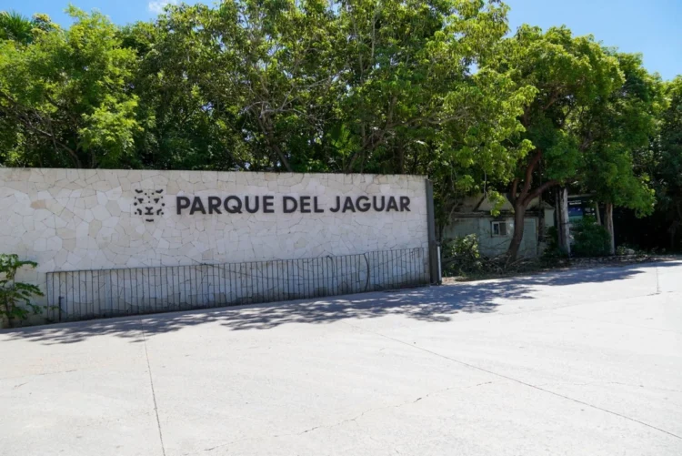 Sheinbaum anuncia visita a Tulum para atender sargazo y mediar en torno al Parque del Jaguar