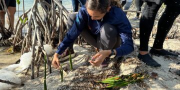 Cancún se suma a Jornada Nacional de Reforestación 2026