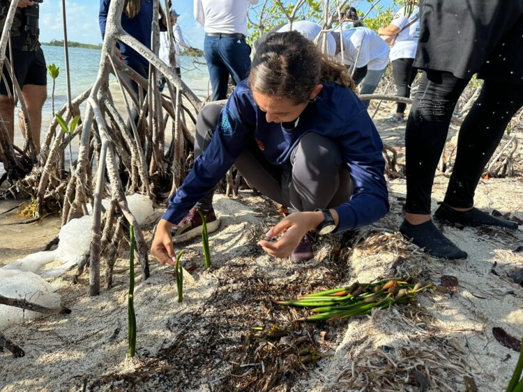Cancún se suma a Jornada Nacional de Reforestación 2026