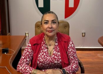 Fallo de la Suprema Corte representa retroceso democrático: Cora Amalia Castilla