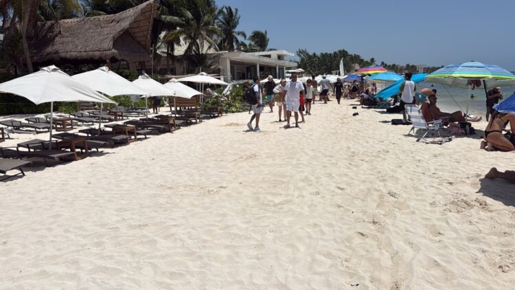 Ordena Estefanía Mercado retiro de camastros de club de playa que cerró arenales a playenses y turistas