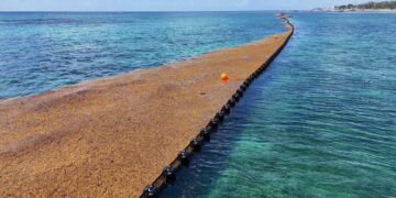 Playa del Carmen blinda su litoral con cinco kilómetros de barreras antisargazo: Estefanía Mercado