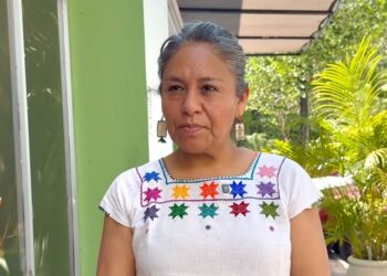 Hallan crías de tortuga en contenedores de basura, en Tulum