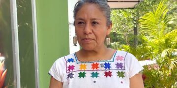 Hallan crías de tortuga en contenedores de basura, en Tulum