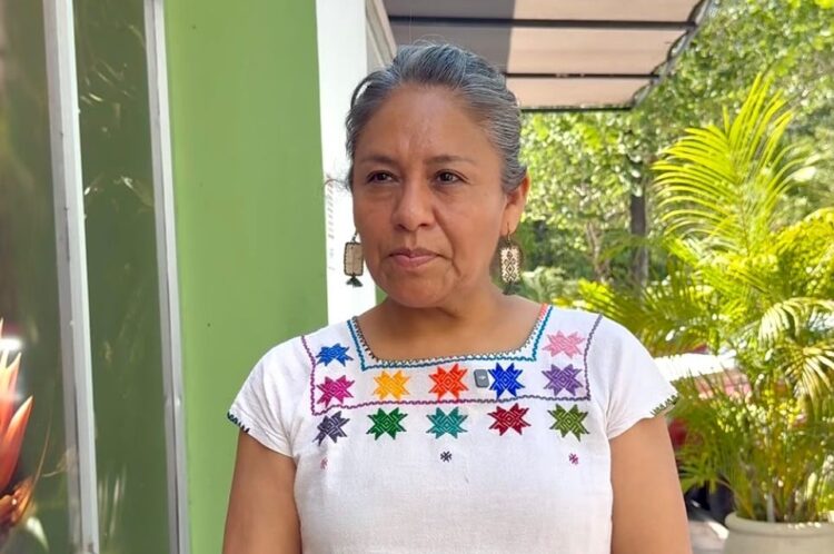 Hallan crías de tortuga en contenedores de basura, en Tulum