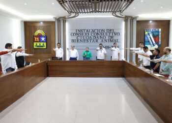 Instala Blanca Merari Consejo Consultivo Ciudadano para la Atención y Bienestar Animal de Puerto Morelos