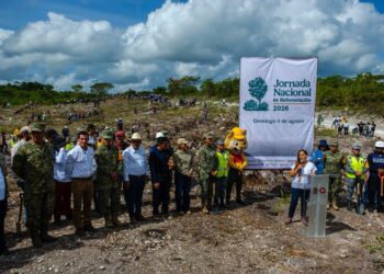 Mara Lezama lidera la siembra de 12 mil árboles en Caobas